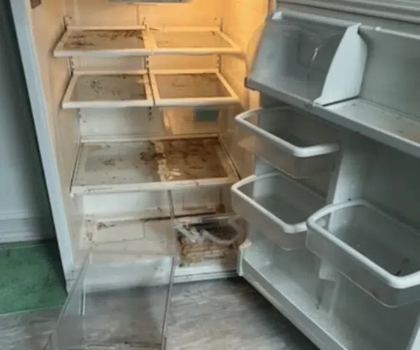 Fridge interior before cleaning